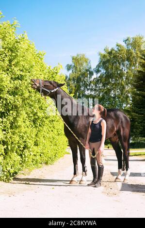 Cavallo nero mangiare albero foglie vicino a giovane padrona donna equestrian. Immagine verticale all'aperto multicolore. Foto Stock
