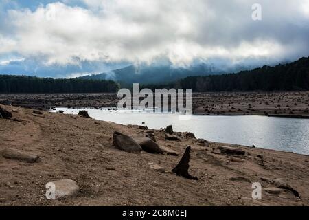Un sito di deforestazione, accanto al lago 'Lac de l'Ospedale', Corsica Foto Stock
