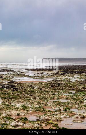 Bassa marea sulla costa del Sussex, in un giorno ventoso di inverni Foto Stock