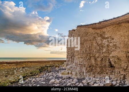 Scogliere di gesso sulla costa del Sussex in una serata estiva, vista dalla spiaggia di Hope Gap Foto Stock