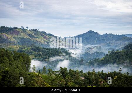 Mattina nebbia e nebbia nelle valli intorno a Ella, Sri Lanka Foto Stock