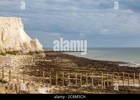 Le scogliere di gesso a Seaford durante la bassa marea Foto Stock