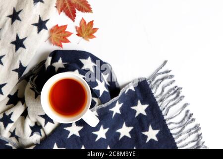 Vista dall'alto della sciarpa calda in cashmere con stelle, tazza di tè calda e fumante, foglie di acero giapponese caduto su sfondo bianco. Spazio di copia, disposizione piatta. Autunno co Foto Stock
