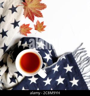 Vista dall'alto della sciarpa calda in cashmere con stelle, tazza di tè calda e fumante, foglie di acero giapponese caduto su sfondo bianco. Spazio di copia, disposizione piatta. Autunno co Foto Stock