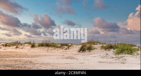 Sea Oats sulla spiaggia di Sandy al tramonto Foto Stock