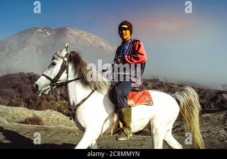 Horse è il trasporto principale per i turisti che visitano Savana, Monte bromo, Giava Est, Indonesia il 13 luglio 2004 Foto Stock