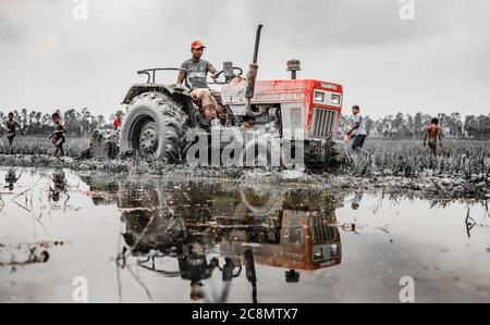 Processo tradizionale e moderno nelle coltivazioni del suolo Foto Stock