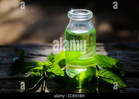 foglie di menta piperita e olio di menta piperita in un piccolo vasetto da closeup Foto Stock