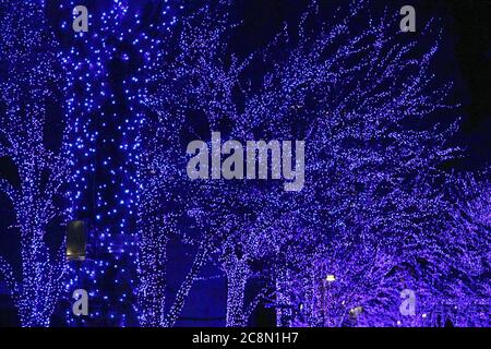 Luci di Natale che decorano gli alberi a lato della strada della città Foto Stock