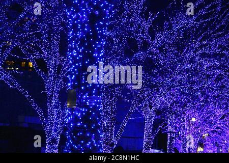 Luci di Natale che decorano gli alberi a lato della strada della città Foto Stock