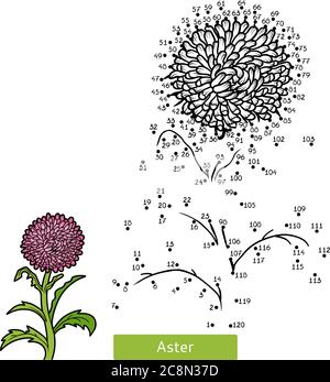 Giochi di numeri, educazione da punto a punto per i bambini, fiore Aster Illustrazione Vettoriale