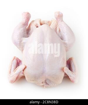 Pollo crudo intero fresco isolato su sfondo bianco Foto Stock