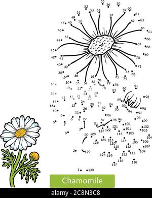 Giochi di numeri, educazione da punto a punto per i bambini, fiore Chamomile Illustrazione Vettoriale