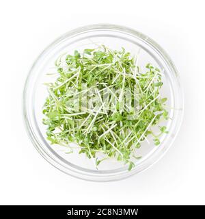 Micro greens grezza giardino germogli in recipiente di vetro isolato su sfondo bianco con percorso di ritaglio Foto Stock