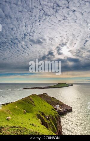 The Worm's Head from Kitchen Corner a Rhossili Beach sulla penisola di Gower, Galles Foto Stock