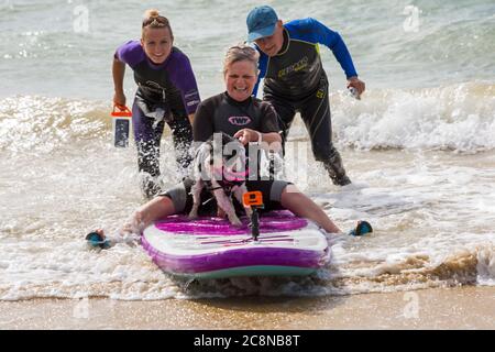 Poole, Dorset UK. 26 luglio 2020. Tempo in Gran Bretagna: Molto ventoso, ma caldo e soleggiato con onde ruvide alle spiagge di Poole. I cani e i loro proprietari si divertono in mare. Cavapoochon si incrocia tra tre razze – un Cavalier re Charles spaniel, un poodle e una frise bichon, noto anche come 'il cane che non cresce mai vecchio' su paddle board paddle board con proprietari e istruttore. . Credit: Carolyn Jenkins/Alamy Live News Foto Stock