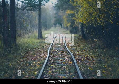 ferrovia a scartamento ridotto - rotaie nella foresta autunnale, tempo piovoso Foto Stock