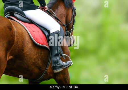 Equitazione closeup nella stagione estiva Foto Stock