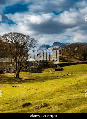 Guardando dall'altra parte del Langdale Pikes dalle Oaks. Foto Stock