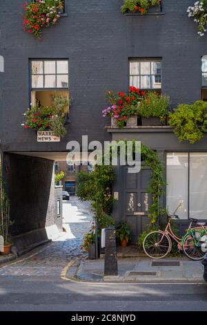 Attraente ingresso a Warren Mews, Londra. Le finestre aggiungono un colore vivace alla facciata. Vicino a Tottenham Court Road. Foto Stock