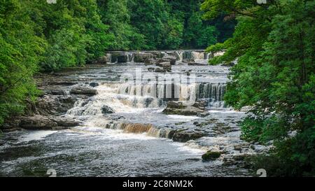 Cascate di Aysgarth, Leyburn, North Yorkshire, Regno Unito Foto Stock