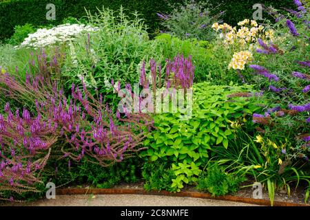 Lussureggiante confine dei fiori estivi inglesi - John Gollop Foto Stock