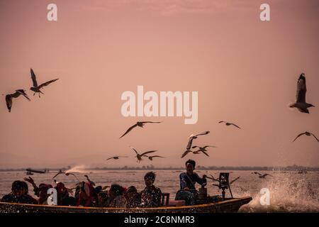 Lago Inle, Myanmar - Febbraio 2020: Gregge di gabbiani seguire barca a coda lunga, Lago Inle. Scena idilliaca, barca in rapido movimento con irrorazione dell'acqua, passeggeri Foto Stock