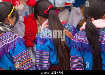 Bac ha mercato Vietnam 12/22/2013 ragazze con gli stessi vestiti di Flower Hmong persone Foto Stock