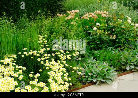 Lussureggiante confine dei fiori estivi inglesi - John Gollop Foto Stock