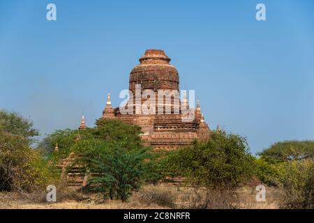 Antichi templi in mattoni rossi a Old Bagan, Myanmar. Stupidi rovinati in verde, paesaggio boscoso con sfondo blu cielo Foto Stock