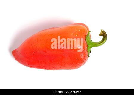 Peperone rosso dolce su sfondo bianco con ombre nell'isolato Foto Stock