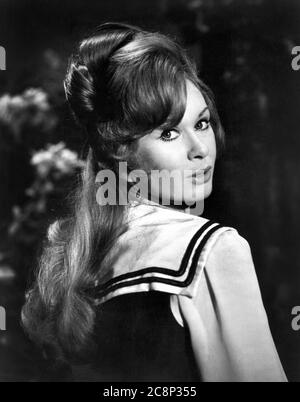 Carol Cleveland, responsabile e spalle Ritratto pubblicitario per il film, 'la macchina che aggiunge', Universal Pictures, 1969 Foto Stock