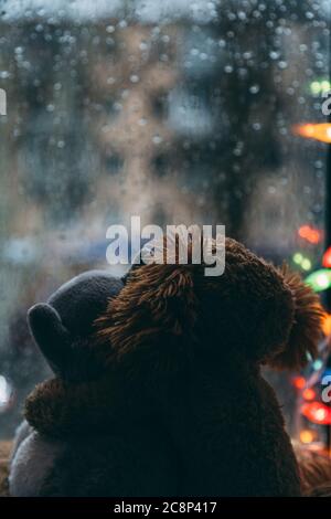 Due amici amorevoli abbracciando i giocattoli del cane e del gatto abbracciando seduti sulla soglia della finestra, guardando nella finestra. Piove all'esterno. Luce di Natale Foto Stock