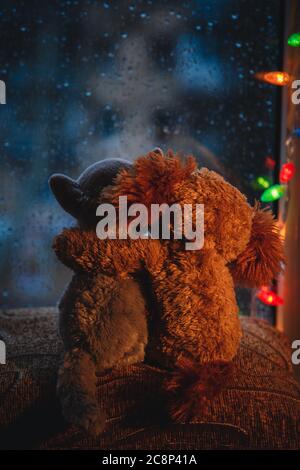 Due amici amorevoli abbracciando i giocattoli del cane e del gatto abbracciando seduti sulla soglia della finestra, guardando nella finestra. Piove all'esterno. Luce di Natale Foto Stock