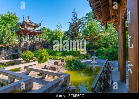 Piccolo ma bello Chinagarten o Giardino Cinese, centro di Stoccarda, stato federale Baden-Würtemberg, Germania del Sud, Europa Centrale Foto Stock