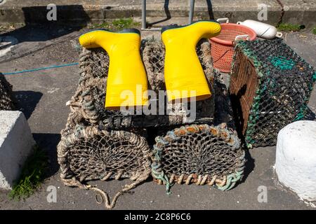 Stivali gialli wellington disposti ad asciugare su creel di aragosta nel porto, Isola di Whithorn, Dumfries & Galloway, Scozia. Foto Stock