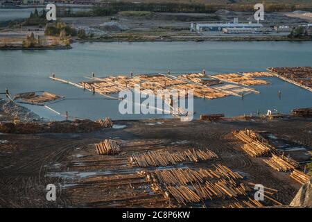 Squamish, BC/Canada-8 ottobre 2019: Vista aerea di Squamish Mills una specie di logging situata in Howe Sound. Migliaia di tronchi sono trucked in quotidiano, grou Foto Stock