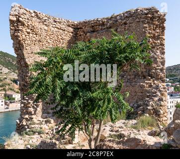 Torre del Grillo Bernabo. Rovine della fortezza genovese Chembalo in Crimea Foto Stock
