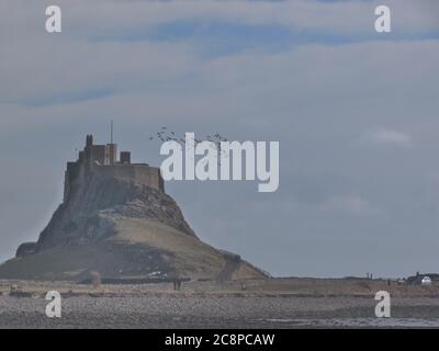 La costa storica, suggestiva e pittoresca del Northumberland Foto Stock