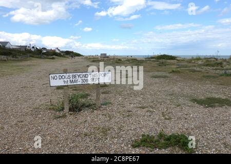 Aldeburgh, Suffolk , Regno Unito - 26 luglio 2020: Bel tempo sulla costa orientale dell'Anglia. Non sono ammessi cani da maggio a settembre. Foto Stock