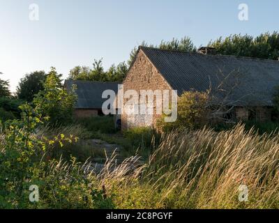 Verlassenes Bauerngut Bauernhof in einer ländlichen Regione im Sommer, abbandonata vecchia fattoria chiuso in rovina moderna campagna Foto Stock
