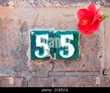 Cinquantacinque, numero 55, cifre verdi in ceramica su muro di pietra e un fiore di ibisco. Foto Stock