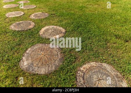 Strada su un campo verde. Passerella in legno di ceppi di alberi su erba verde nel parco, fuoco selettivo, vista dall'alto. Foto Stock