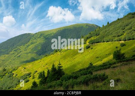 percorso attraverso prati alpini erbosi. bellissimo paesaggio di carpazi. nuvole sul cielo Foto Stock