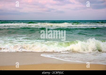 tempo drammatico sulla riva. onde verdi che si infrangono sulla spiaggia. cielo viola nuvoloso alla luce della sera Foto Stock