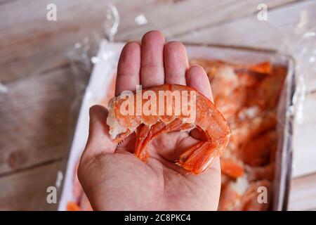 la mano tiene il gamberetto tigre di langoutine in guscio, primo piano Foto Stock