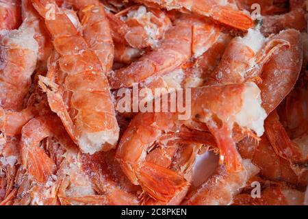 gamberi di tigre surgelati con langostine in guscio, primo piano Foto Stock