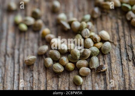 Semi di cannabis su sfondo di legno. Cibo vegetariano Foto Stock