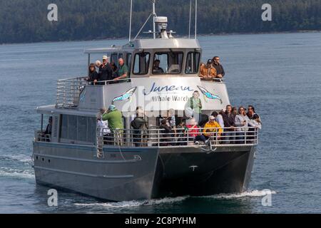 Juneau, Alaska. USA - Jul, 24, 2018. Barca di avvistamento delle balene alla ricerca di megattere a Auke Bay, Alaska Foto Stock