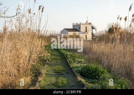 Tancat de la Pipa Albufera Valencia, giro turistico. Antico campo di riso trasformato in una riserva naturale. Ecosistema di specie autoctone Foto Stock